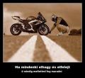 Az igaz trs