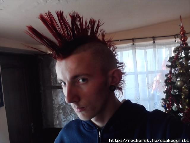 PunkKarcsony