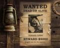 wanted