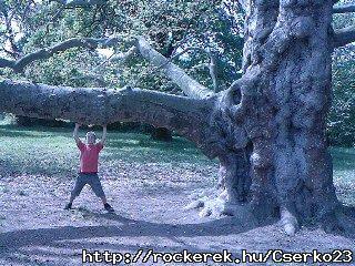 A Kastlypark s platnfja,szeretett csmmel :)