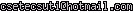 msn