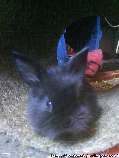 Picikm :)