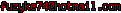 msn