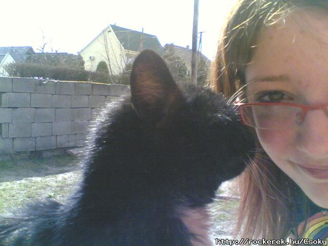 cicummal:`(Kormiii:(