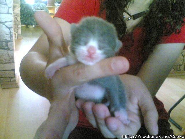 Kishussimmm(L)imdom^^ 3napos(: