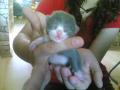 Kishussimmm(L)imdom^^ 3napos(: