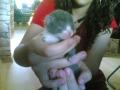 szintn kicsicicum(:imdomm(L)
