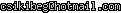 msn