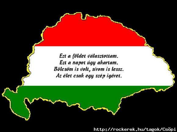 Ezt A Fldet Vlasztottam....