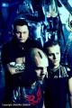 Icon of Coil