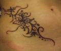 hasam