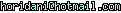 msn