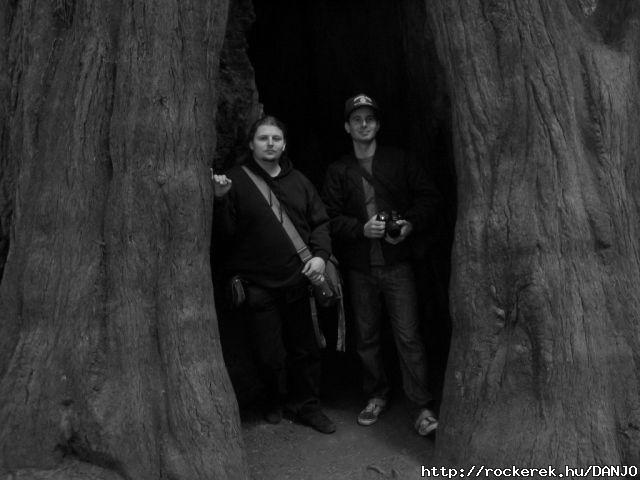 Under a giant