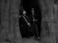Under a giant