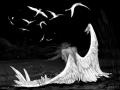 brokenangelwall
