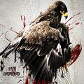 DarkEagle