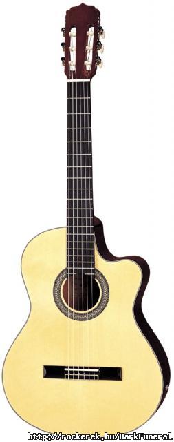 ex-gitrom Aria AK30CE