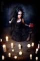 Lady Amaranth