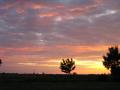 IMG_0020