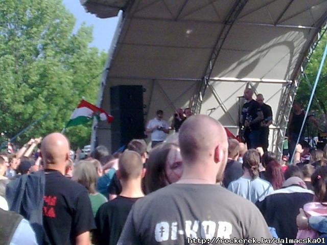 szintn