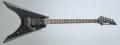 Fernandes Vortex