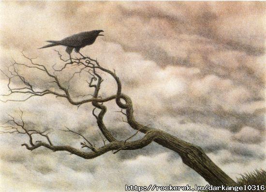 raven..