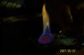 Absinth