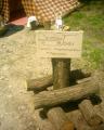 Szarvas trzs