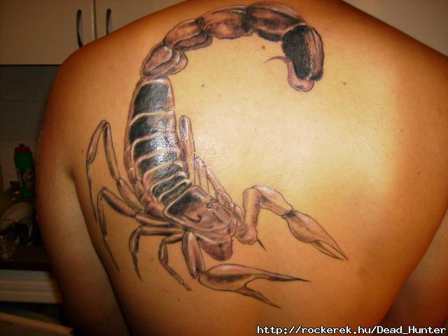 www_tvn_hu_24b34719a9d738e30ef8fad113b89c29