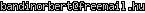 msn