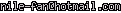 msn