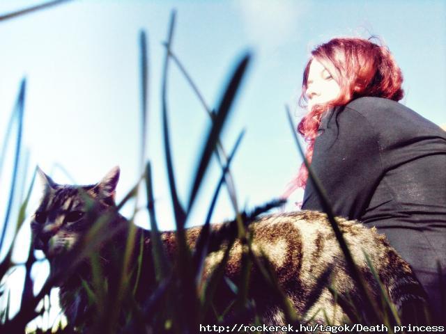 chicc.♥
