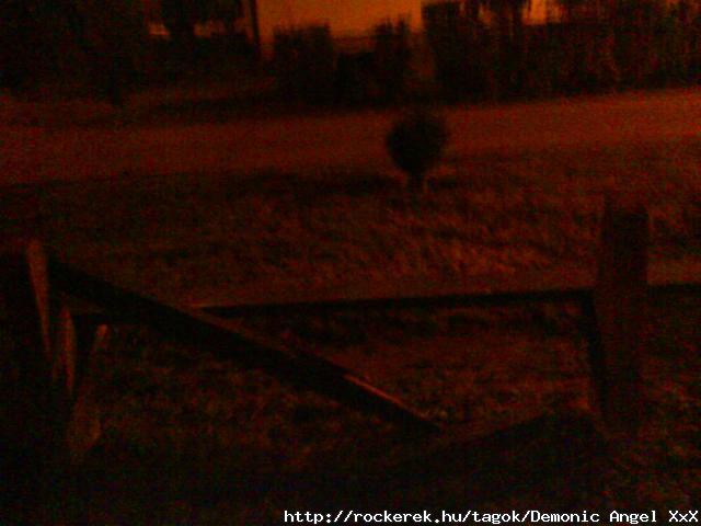 Egy egsz pici reccsenst hallunk,egymsra nznk,s sszetrik alattunk a pad tmlja...:DD