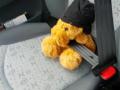 Rudolf als mitfahrer! :)