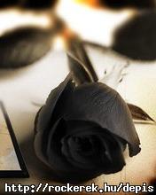 blackrose_3a6eia76