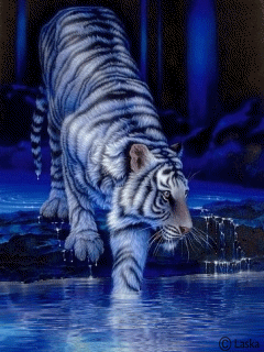 White Tiger