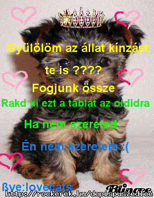 llatknzs
