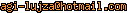 msn