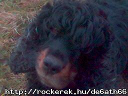 Blackie