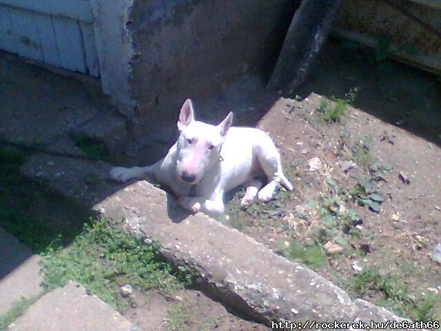 Kukucs :)