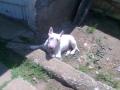 Kukucs :)