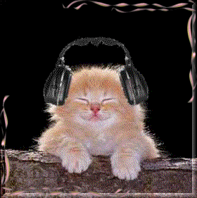 dj mia