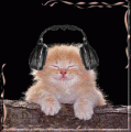 dj mia