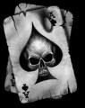 The Ace of Spades