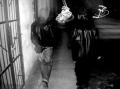 Dark Road