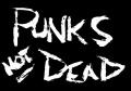 punk_not_dead333