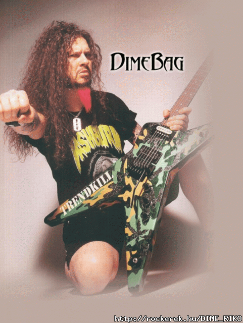DIMEBAG DARRELL - A Pldakp!
