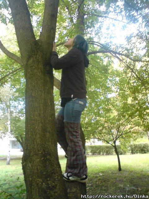 kicsi lemur nem :D