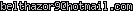 msn