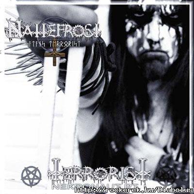 nattefrost